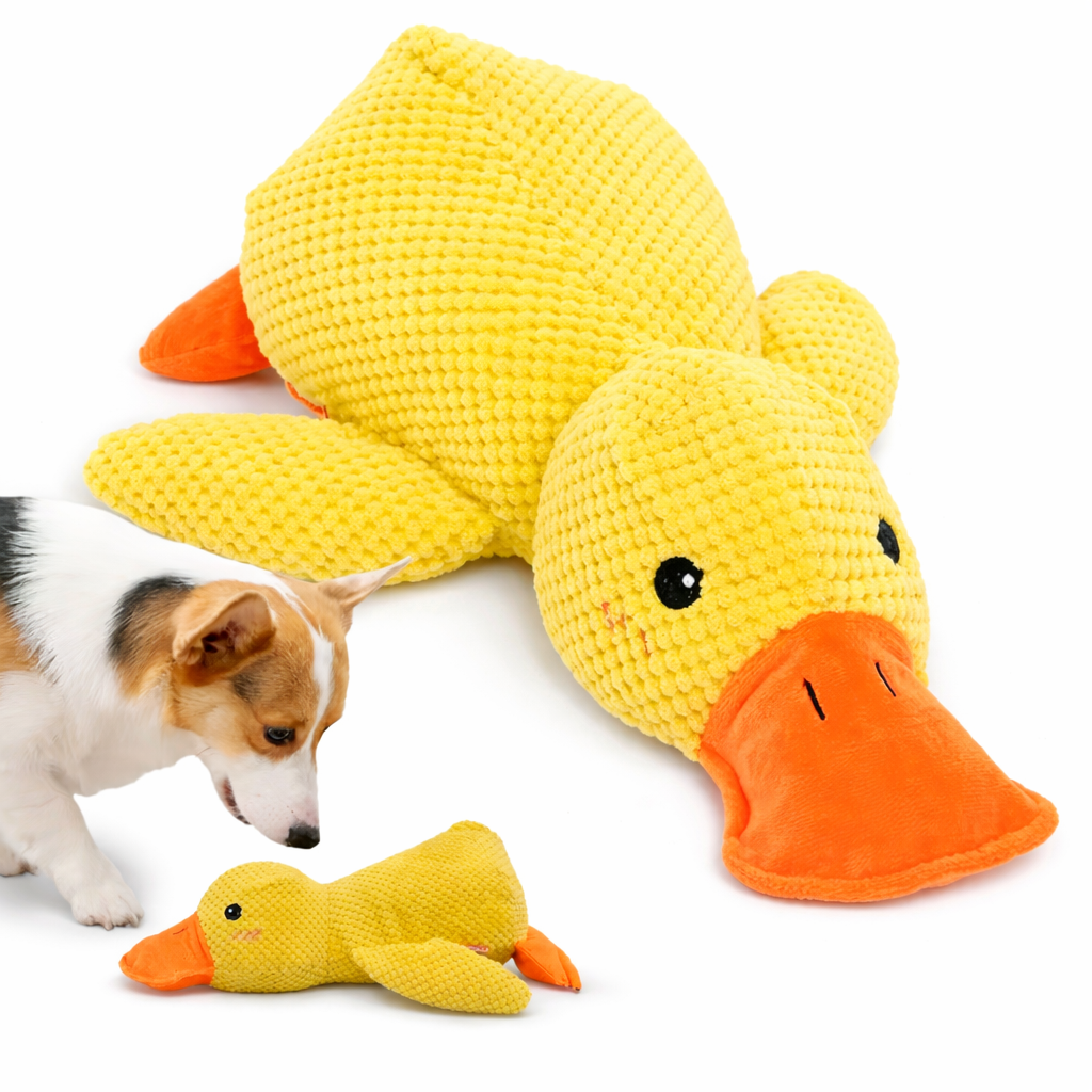 Quietsch-Ente für Hunde – Weiches Plüschspielzeug in 3 Größen
