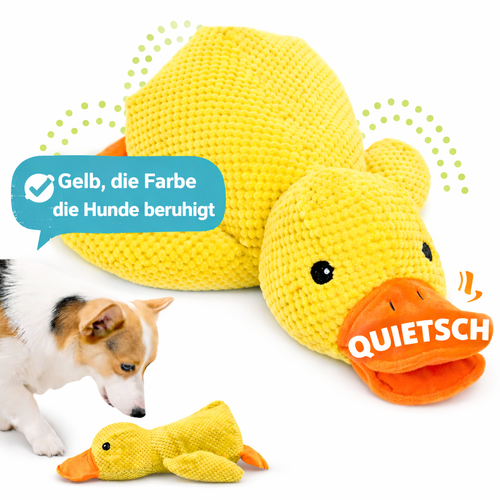Quietsch-Ente für Hunde – Weiches Plüschspielzeug in 3 Größen